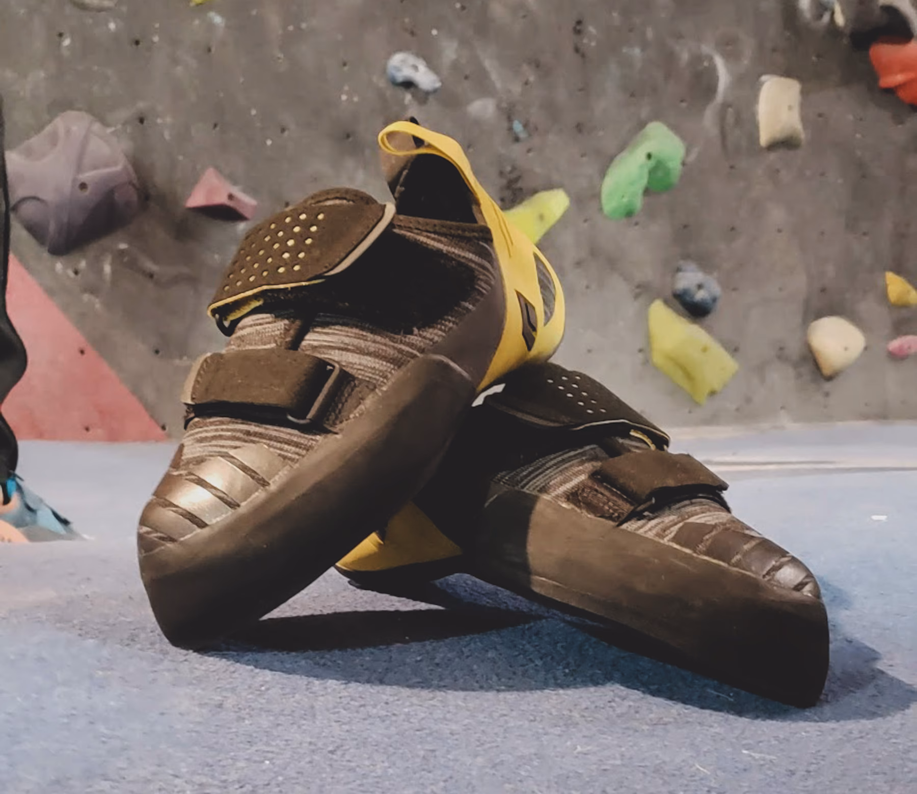 ¿Cuáles son las mejores zapatillas de Escalada?