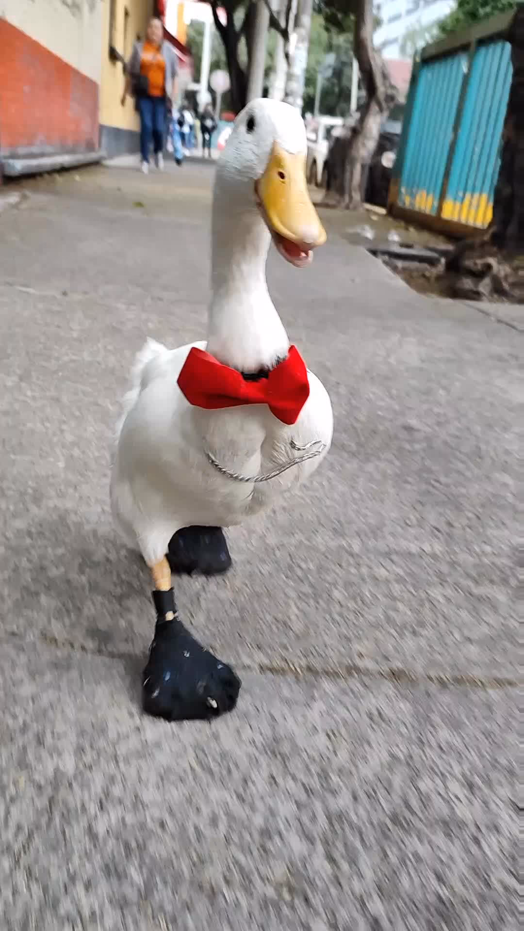 ¿Cómo hacer una patada con los zapatos puestos?