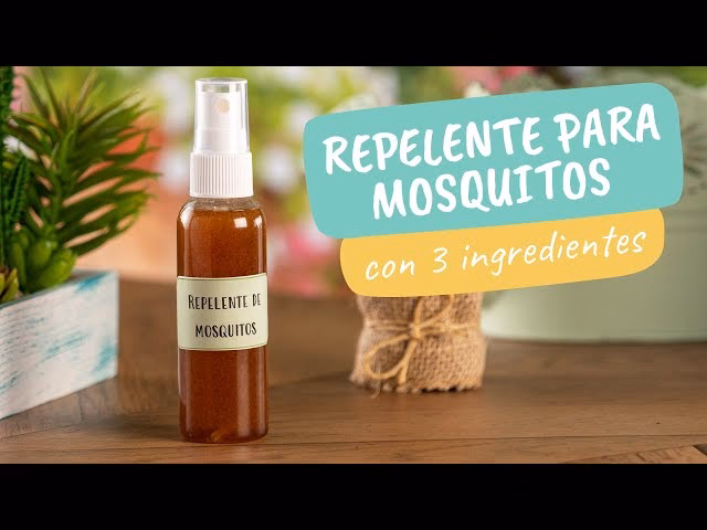 ¿Cómo hacer repelente casero para mosquitos?