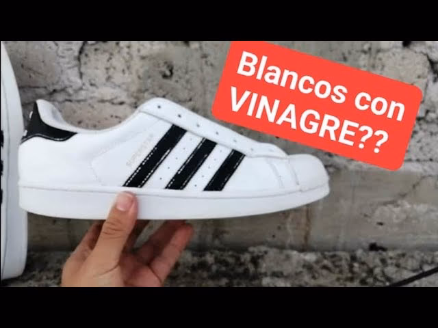 ¿Cómo limpiar las zapatillas blancas con vinagre blanco?