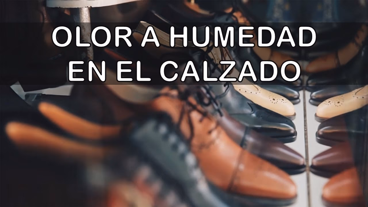 ¿Cómo quitar el olor de los zapatos?