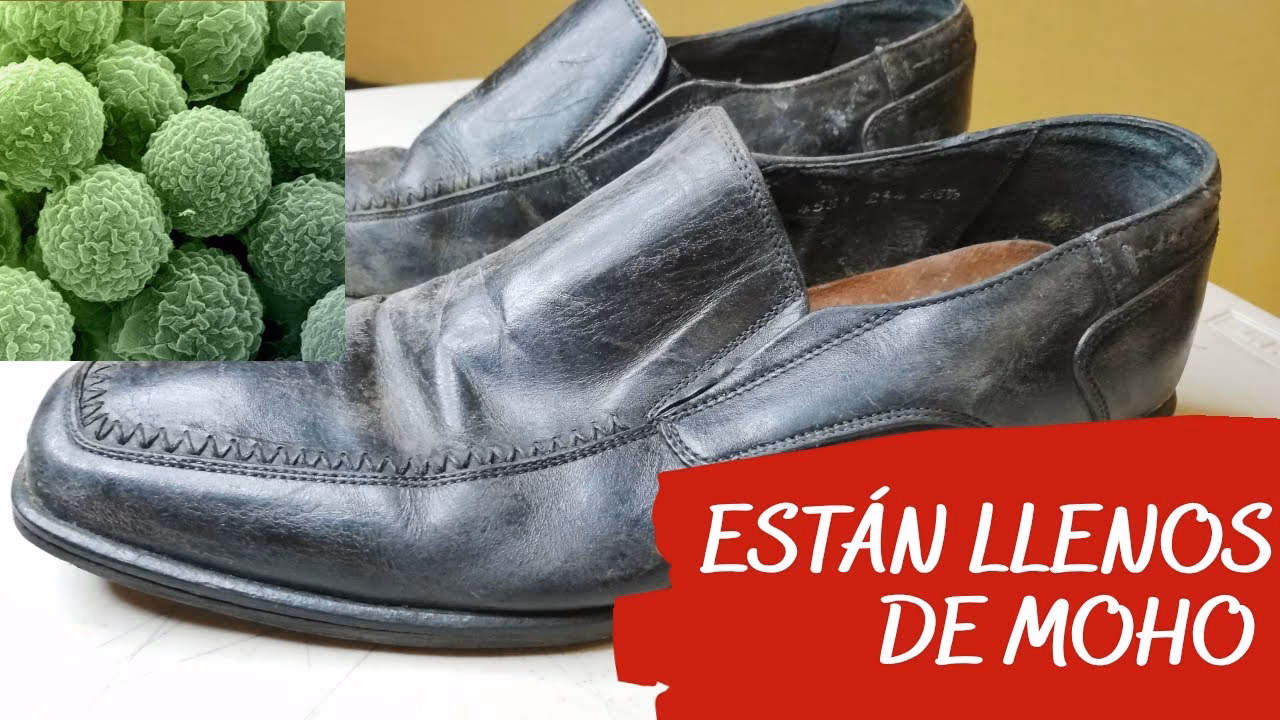 ¿Cómo limpiar los zapatos?