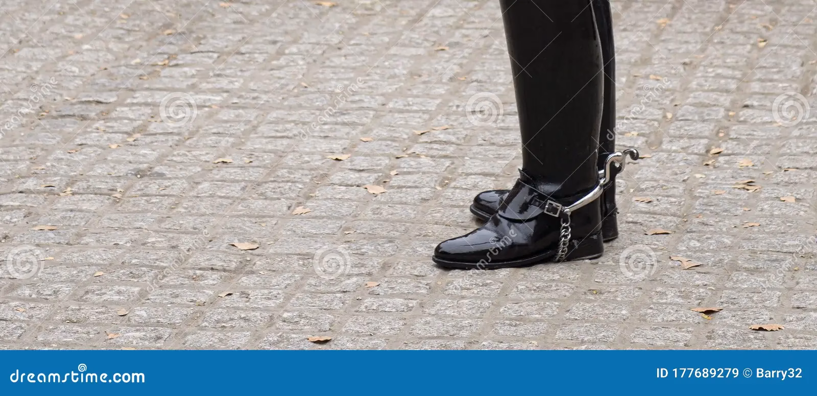 ¿Qué hacen los guardias reales?