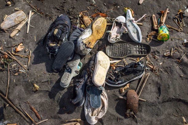 ¿Cuáles son las consecuencias de la industria de los zapatos?