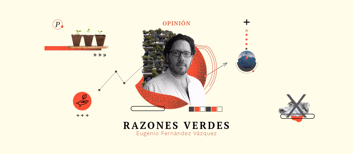 ¿Por qué las empresas son sostenibles y respetuosas con el medio ambiente?