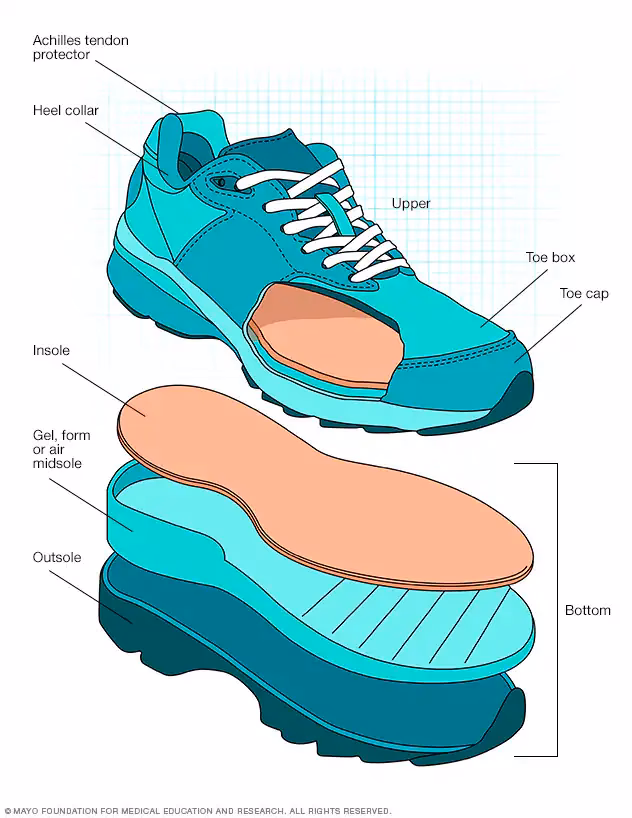 ¿Cuál es el significado de calzado?
