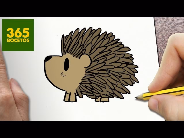 ¿Cómo se representa el pequeño erizo?