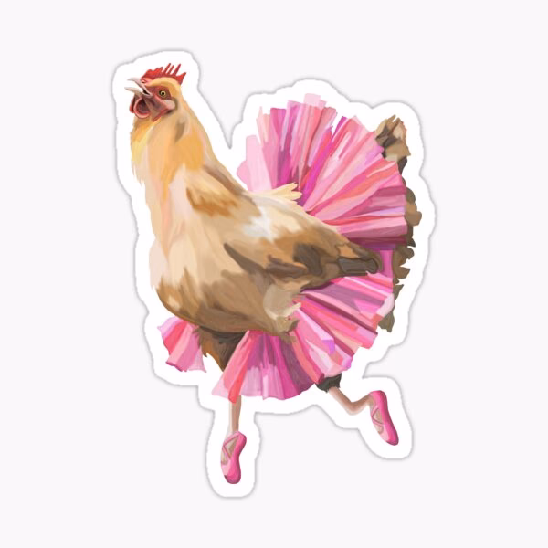 ¿Qué es la danza de los gallinazos?