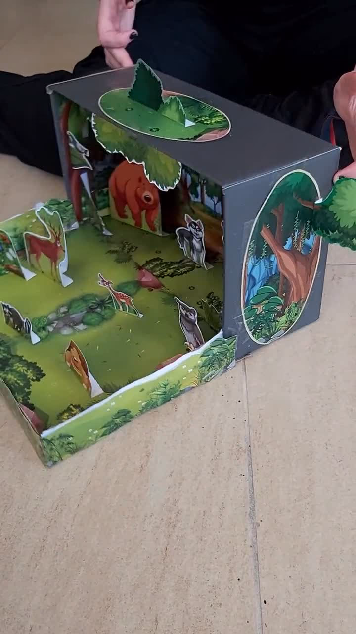 ¿Cómo crear un ecosistema en una caja de zapatos?