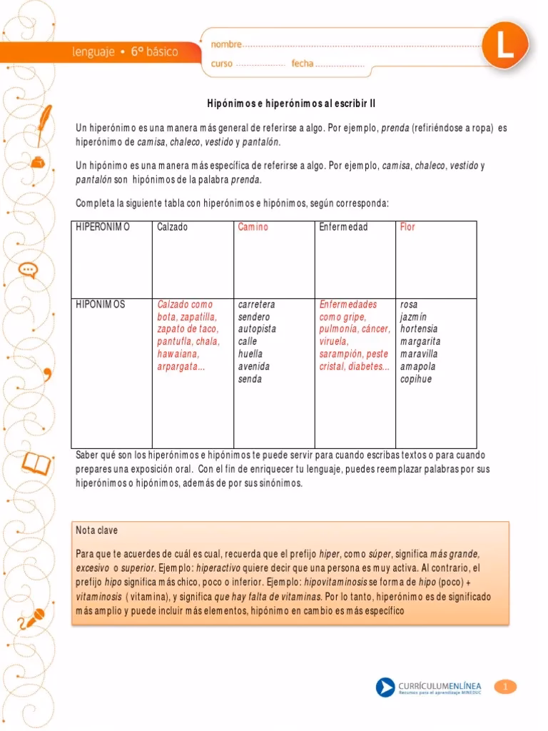 ¿Qué tipo de palabra es zapato?