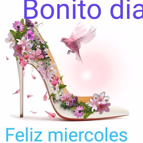 ¿Cómo elegir los mejores zapatos para el día a día?