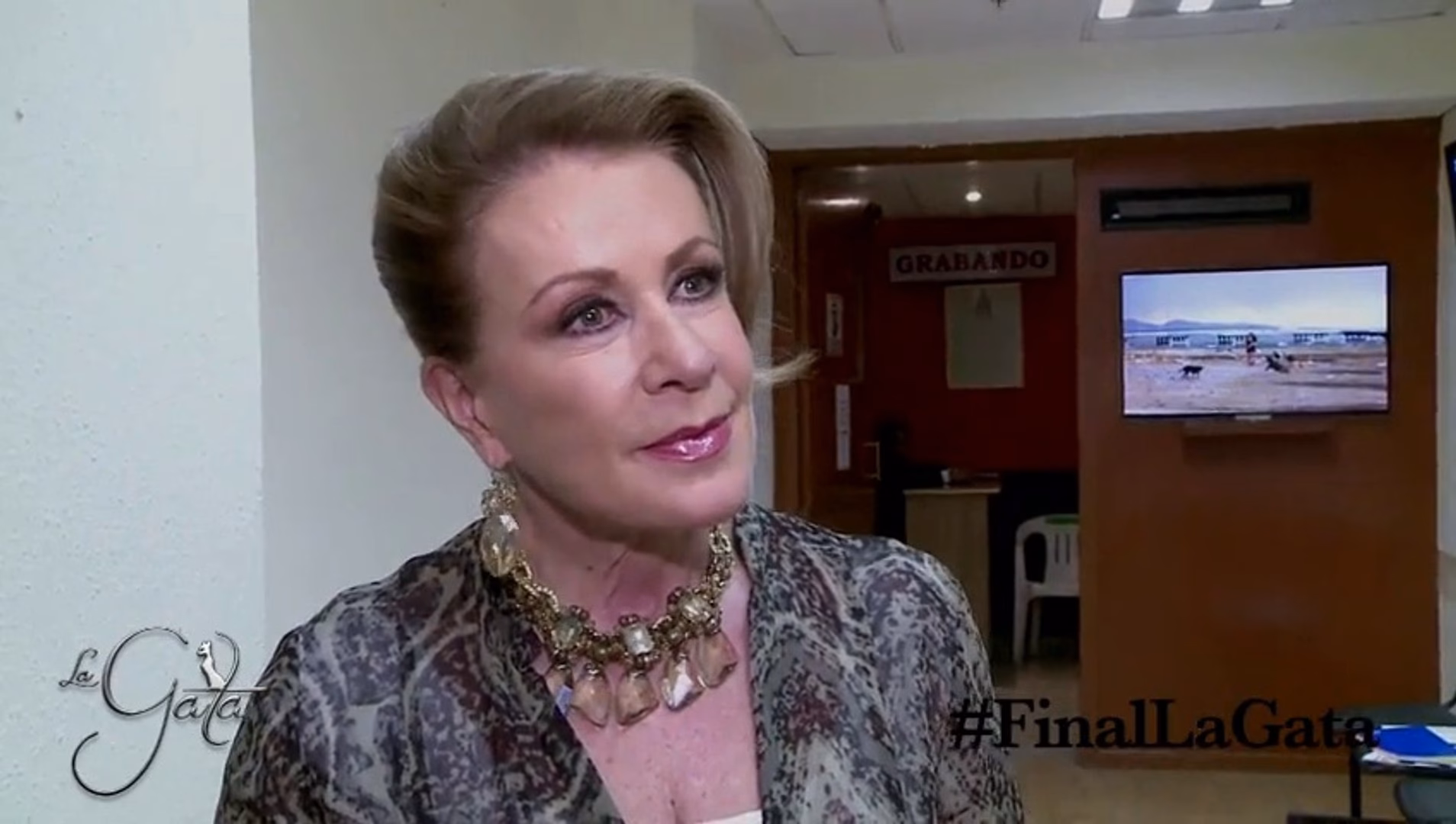 ¿Qué le gusta a la gatita Zazpi?