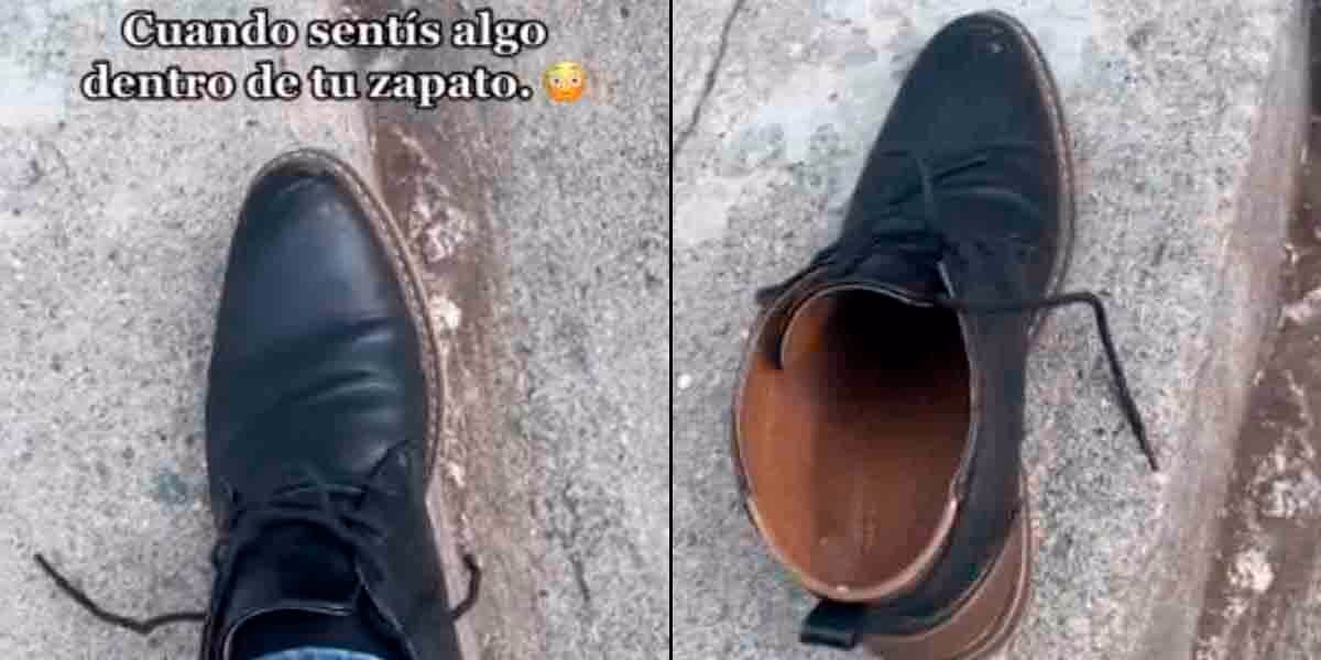 ¿Dónde encontrar la mejor selección de zapatos MEXAS?