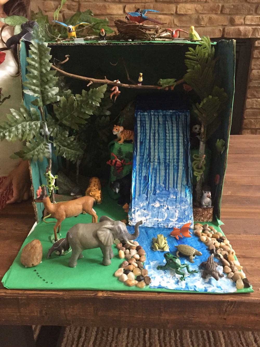 ¿Cómo preparar una caja de zapatos?