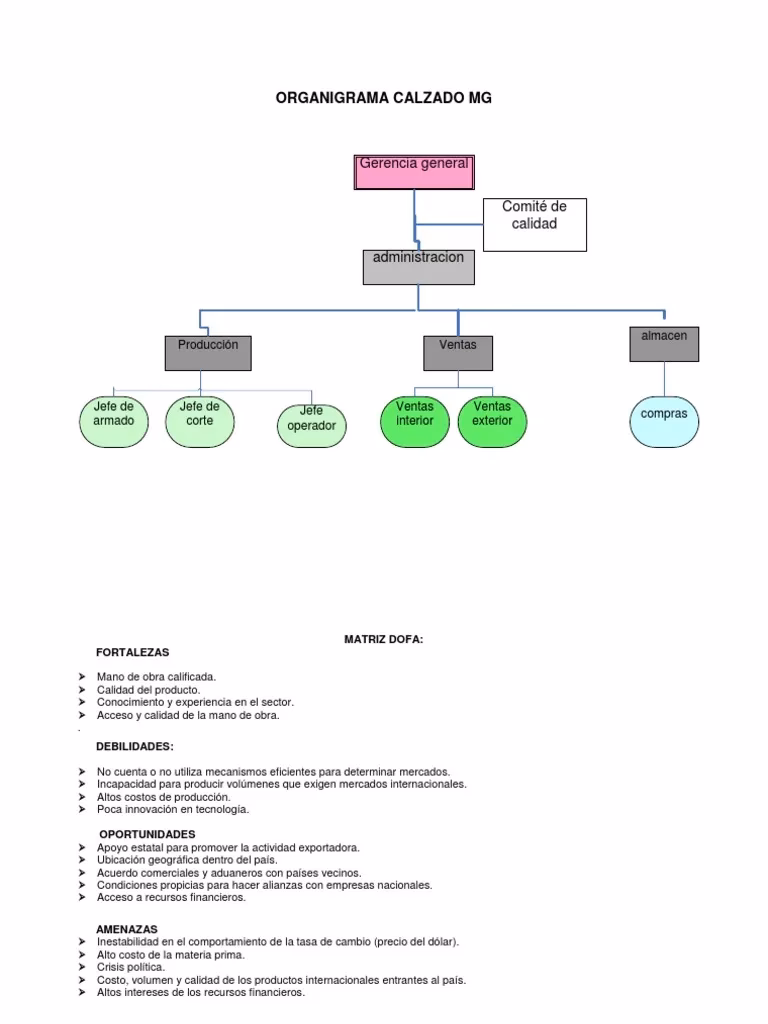 ¿Qué es el organigrama de una zapatería?