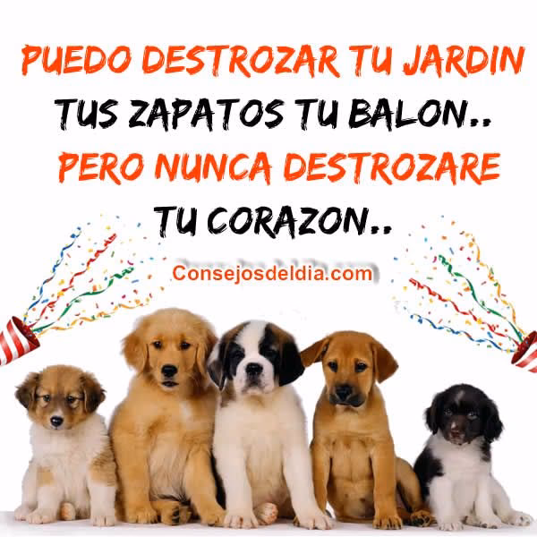 ¿Qué hacer si nunca te han roto el corazón?