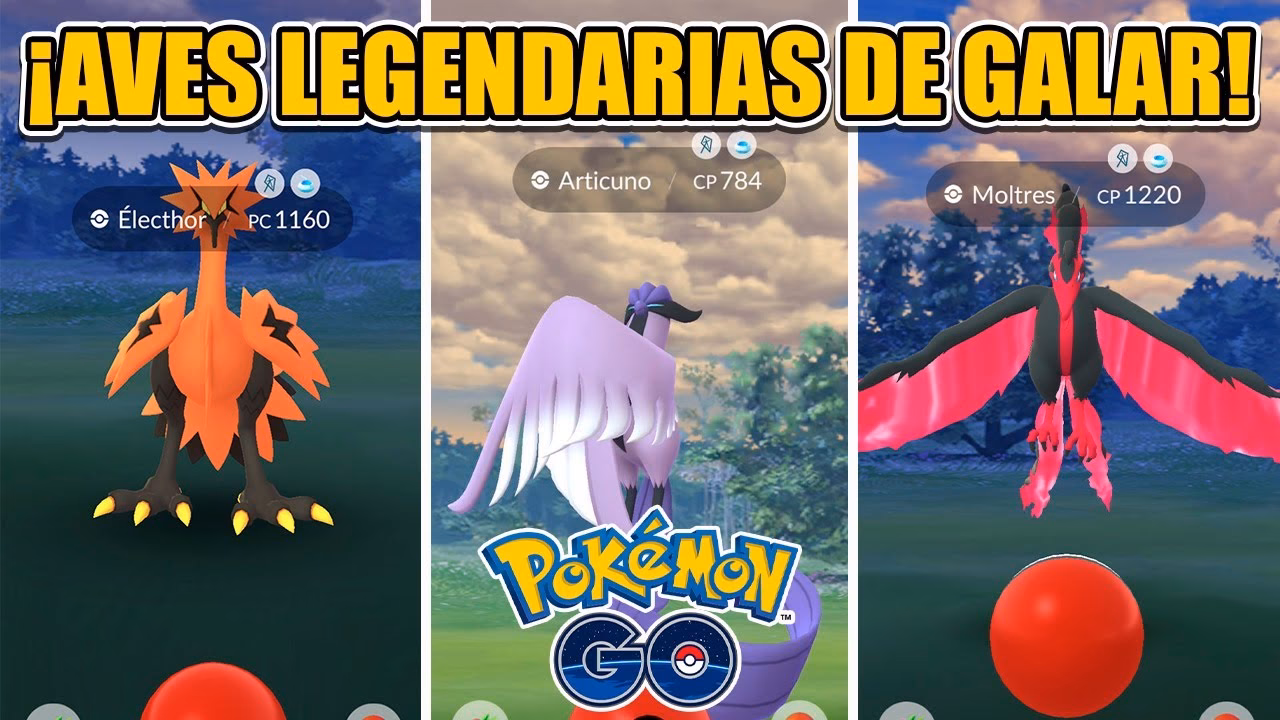 ¿Cuáles son los combates de entrenador en Pokémon GO?
