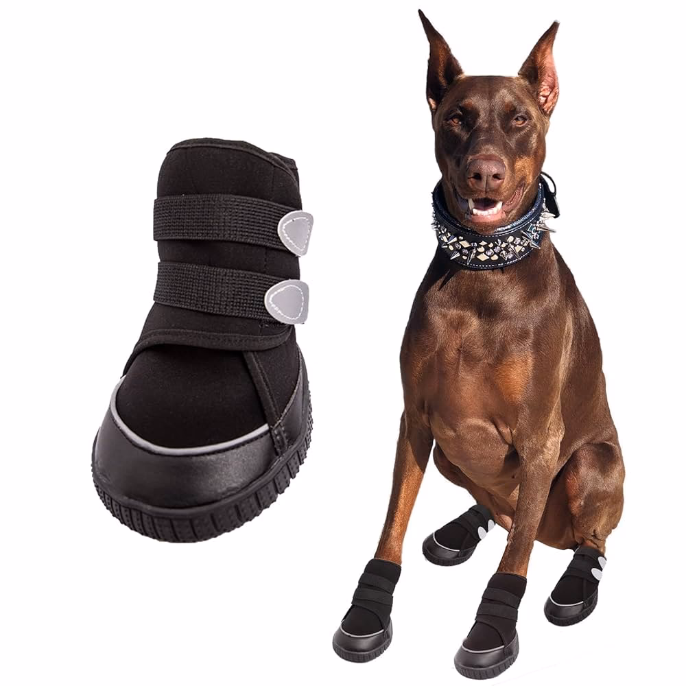 ¿Cuáles son los mejores lugares para comprar ropa para perros?