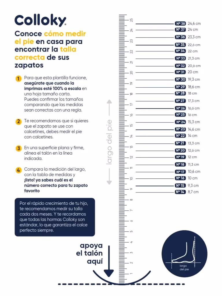 ¿Cómo contactar con Colloky?
