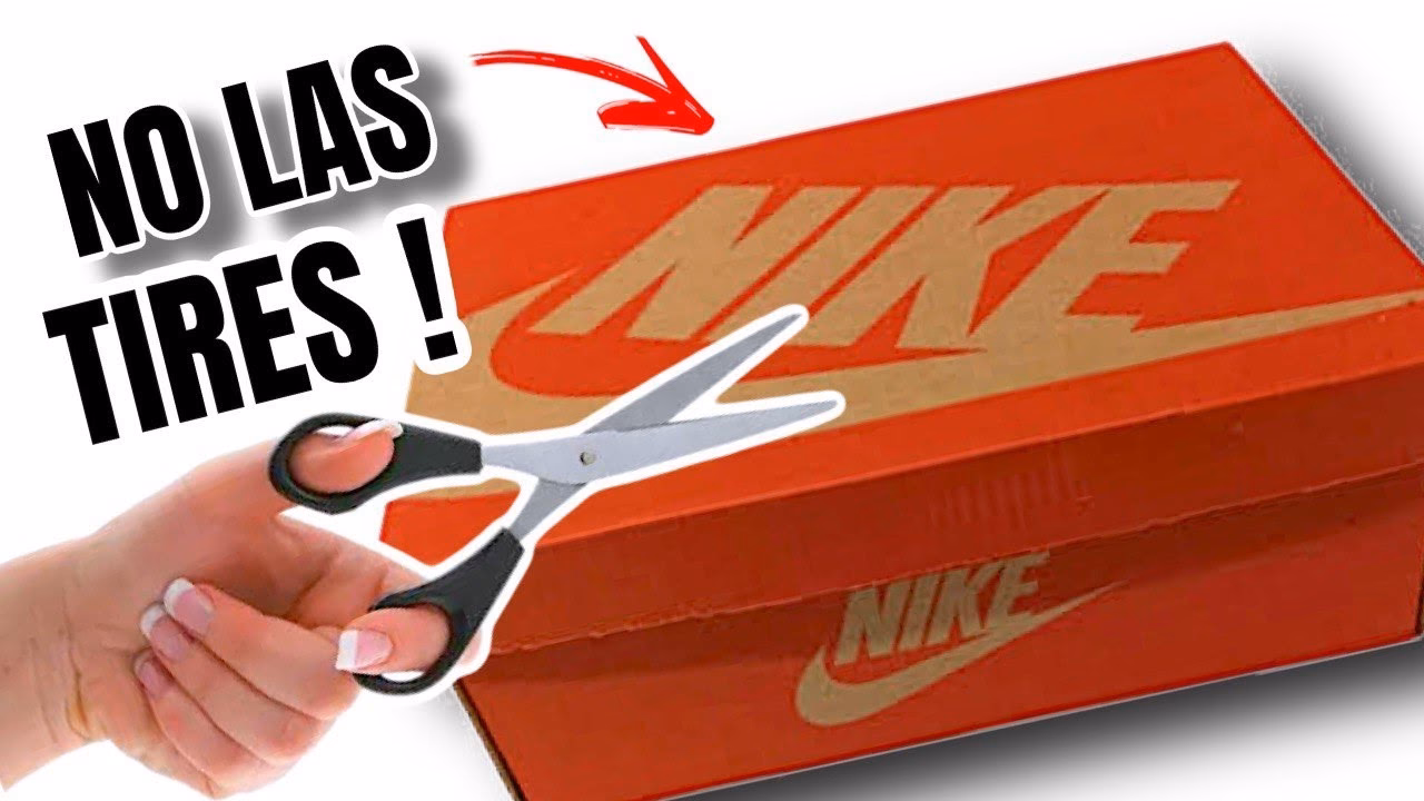 ¿Cómo crear un ecosistema dentro de una caja de zapatos?