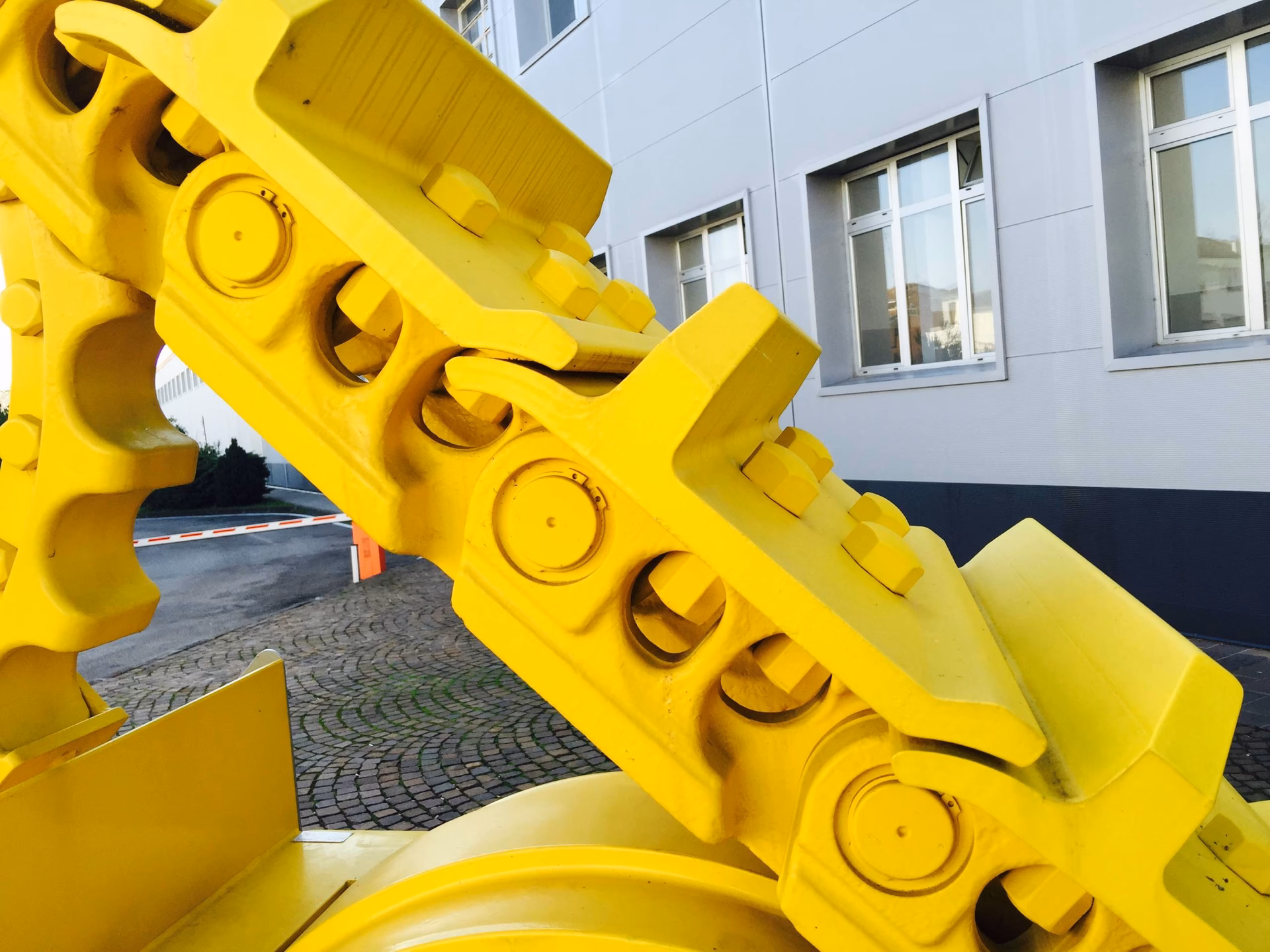 ¿Dónde se encuentran las patas de una oruga?