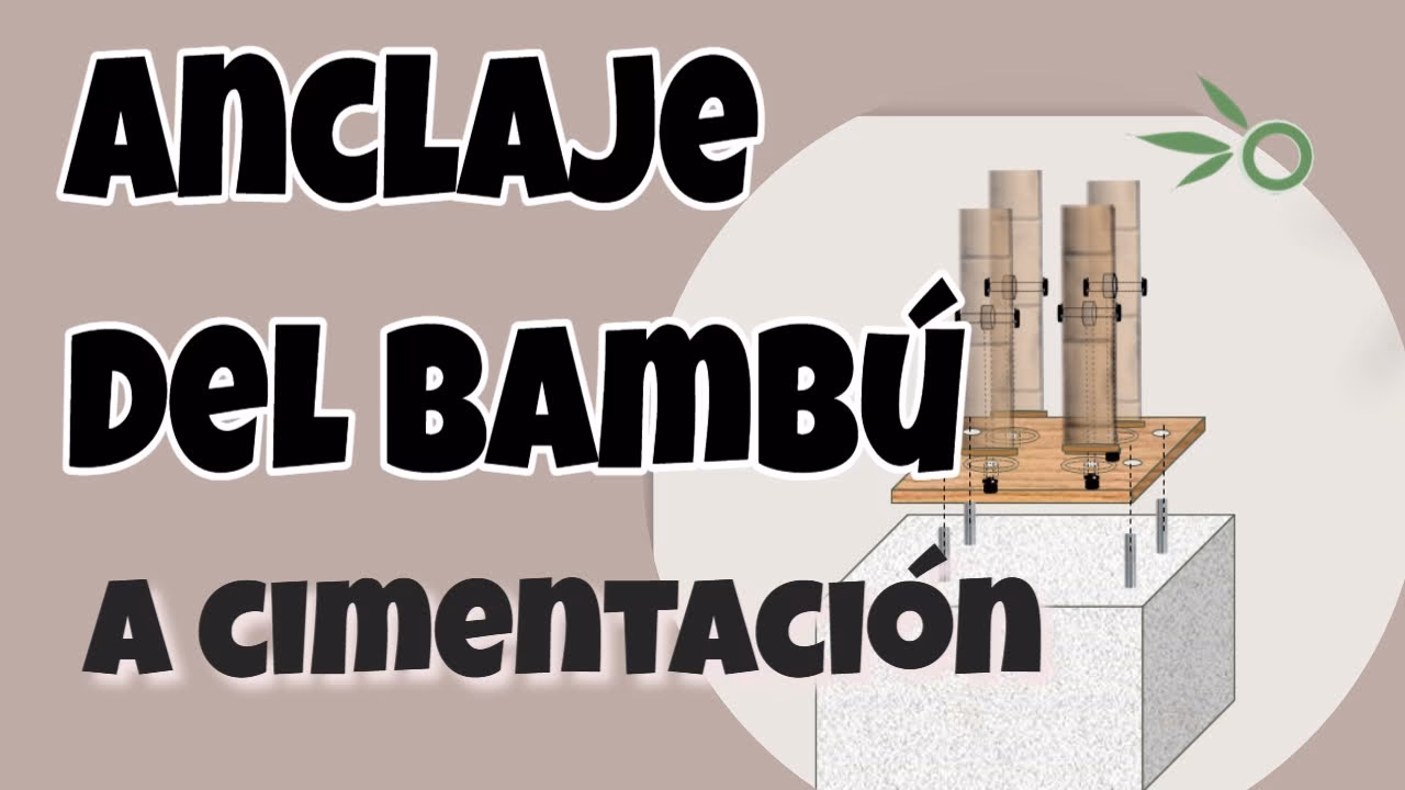 ¿Cuándo se debe plantar el bambú?