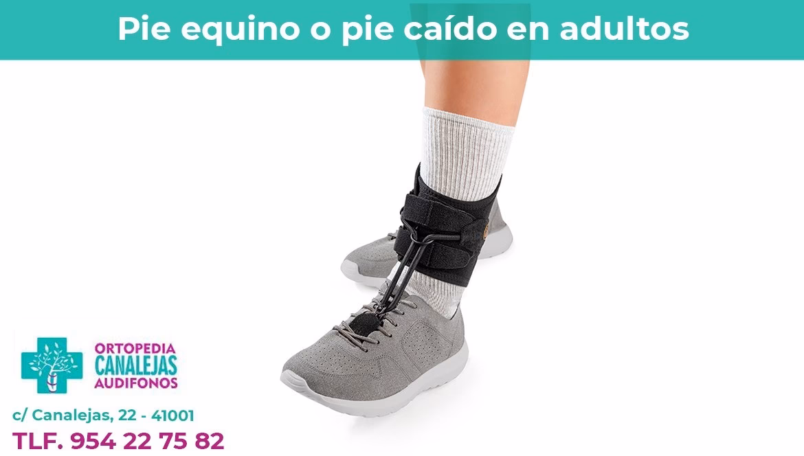 ¿Cuál es la posición del retropié en el pie equino?