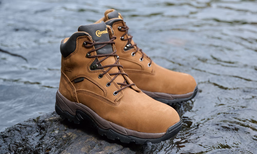 ¿Dónde puedo comprar zapatos Americanino de manera segura y fácil?