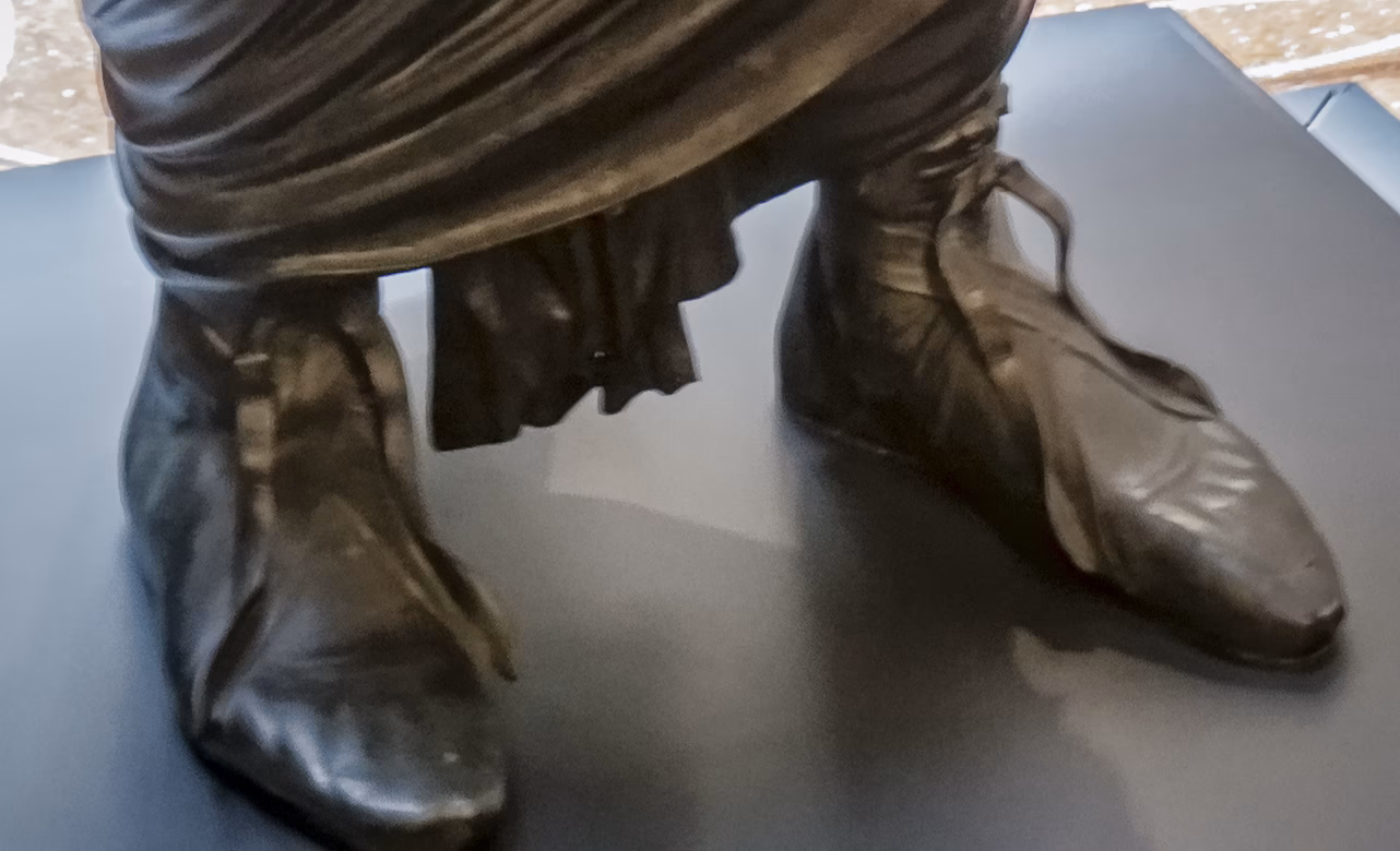 ¿Cuáles son los diferentes tipos de calceus?