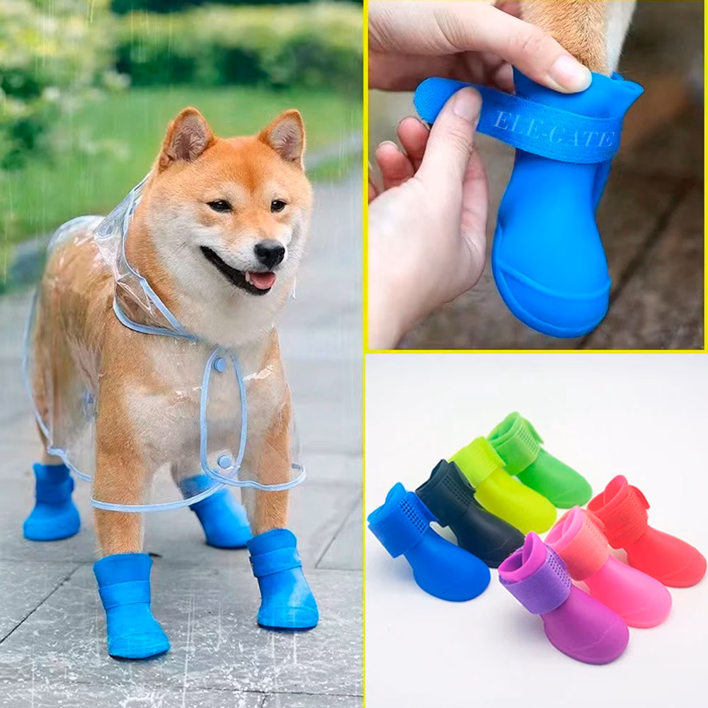 ¿Por qué los perros tiemblan cuando escuchan la lluvia?