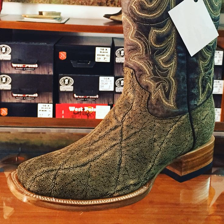 ¿Por qué elefante es la mejor opción para tus pequeñ@s?