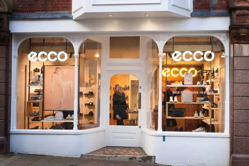 ¿Qué ofrece la selección de zapatos Ecco de mujer?