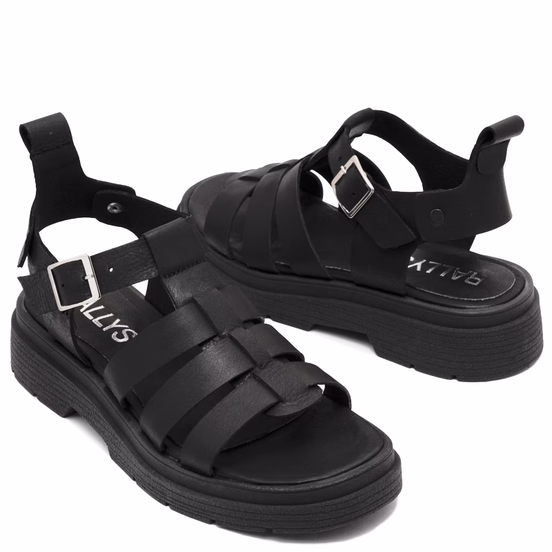 ¿Cuáles son los diferentes tipos de Franciscanas?