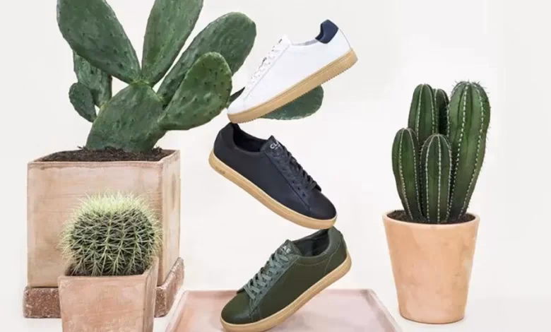 ¿Cuál es el mejor mes para comprar Tuna?