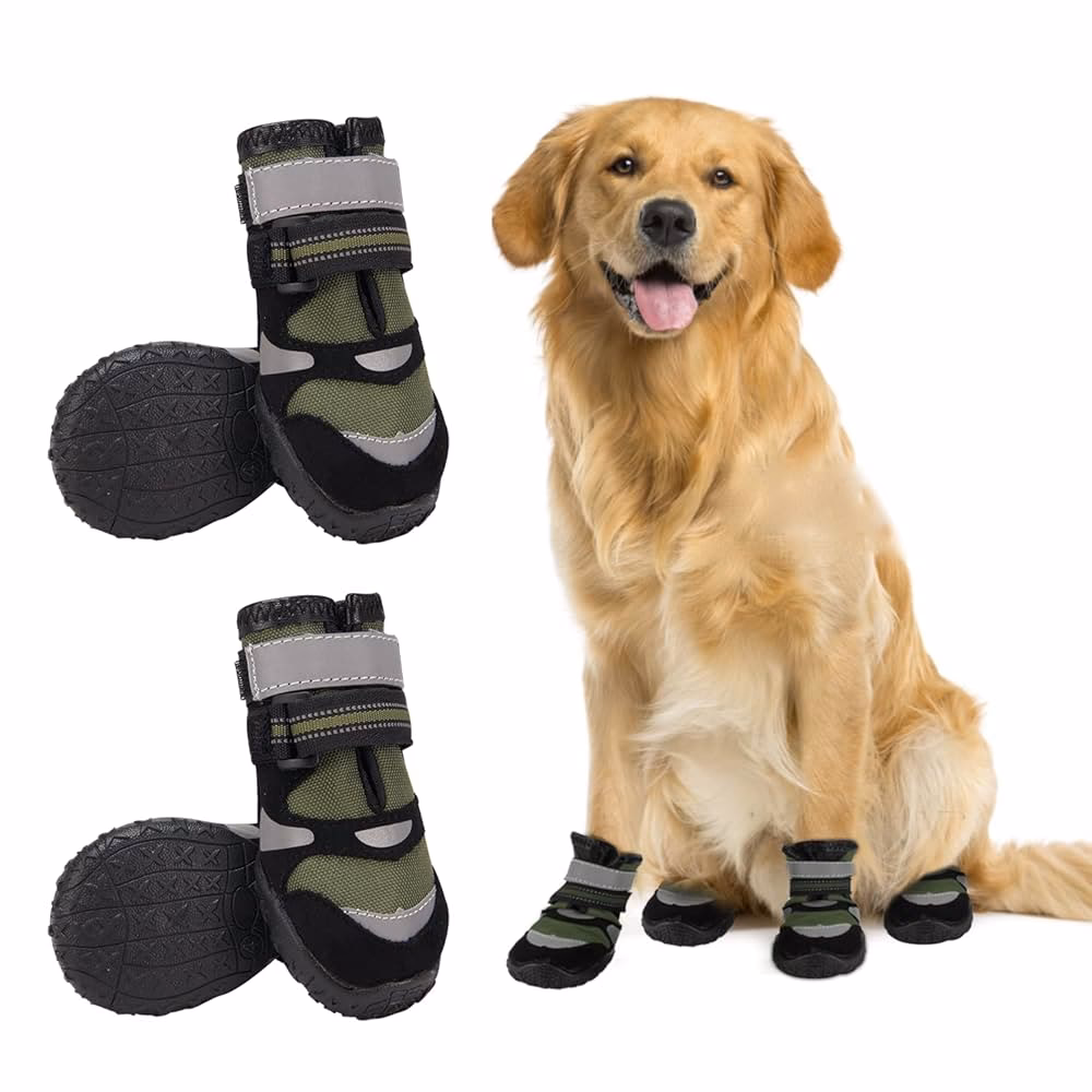 ¿Cuáles son los mejores zapatos impermeables para perros?