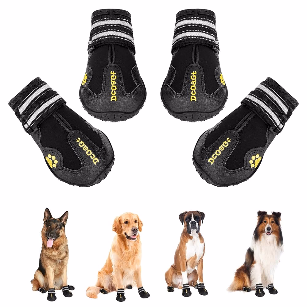 ¿Cómo hacer un impermeable para perros?