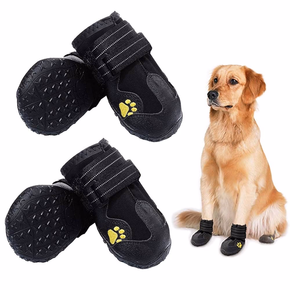 ¿Cuáles son los mejores zapatos impermeables para perros?