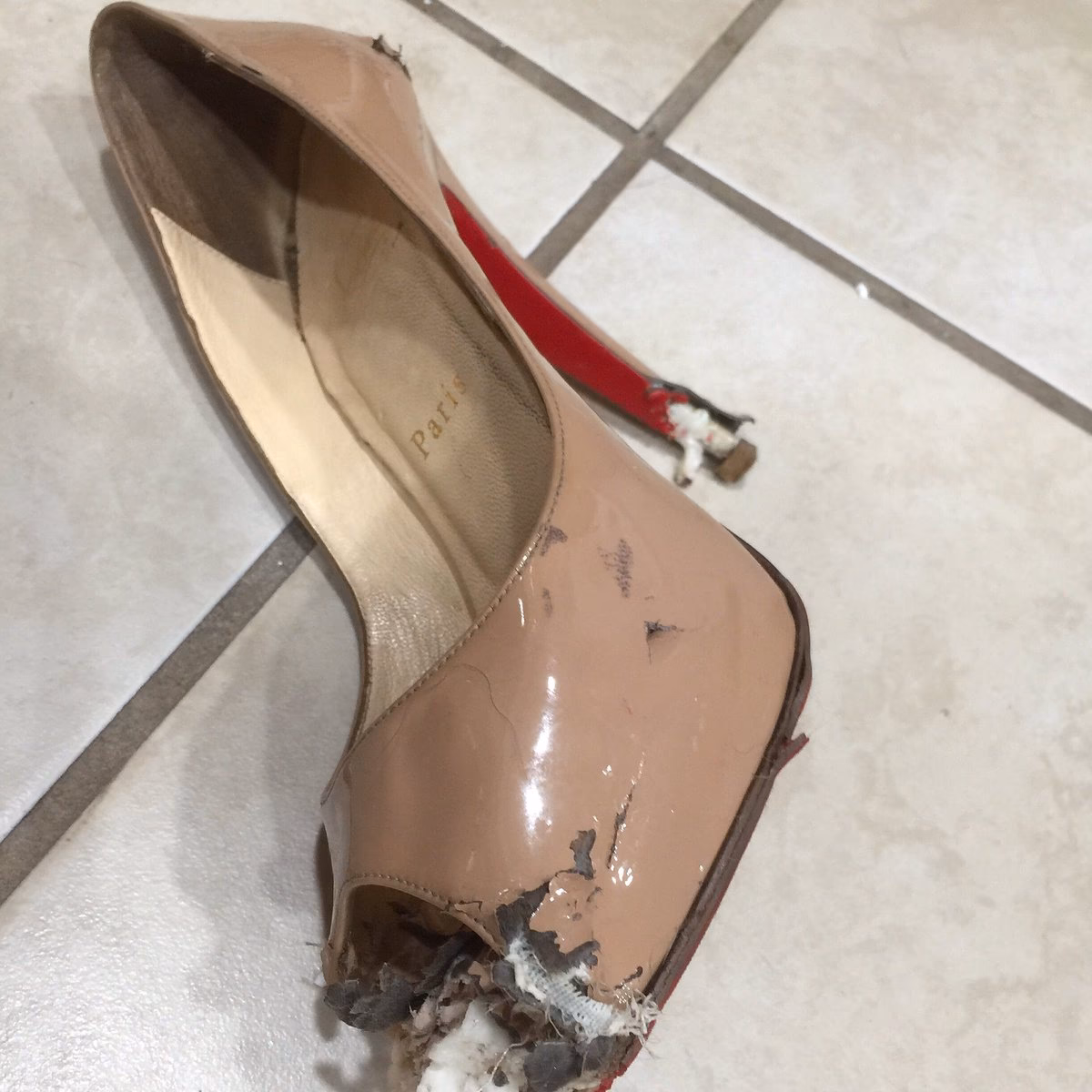 ¿Por qué mi cachorro mordisquee los zapatos de cuero fino?