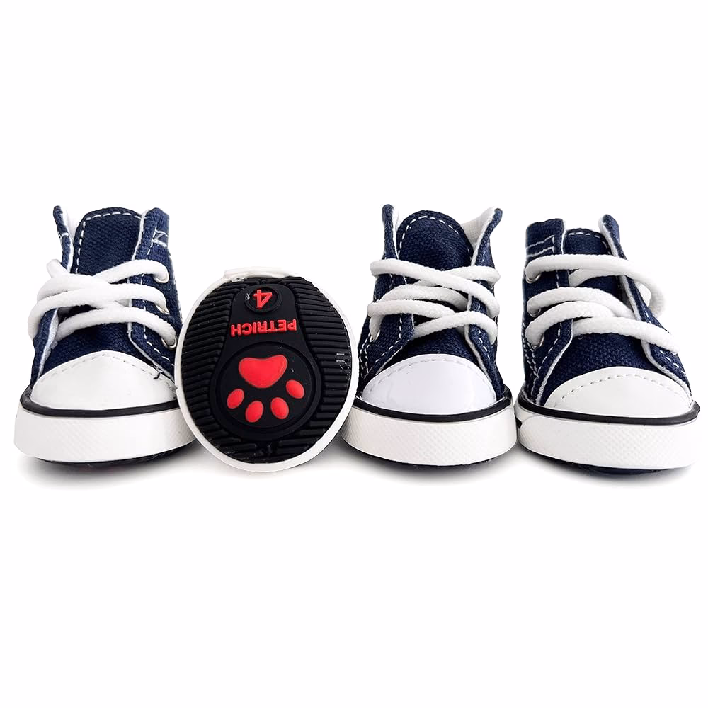 ¿Cuál es la inspiración para los zapatos de su cocker spaniel?