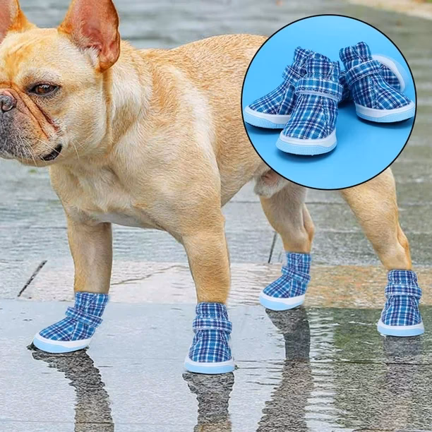¿Por qué hacer zapatos para perros DIY?