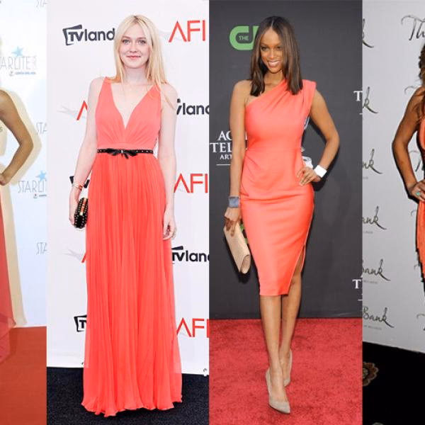 ¿Dónde puedo comprar el melón?