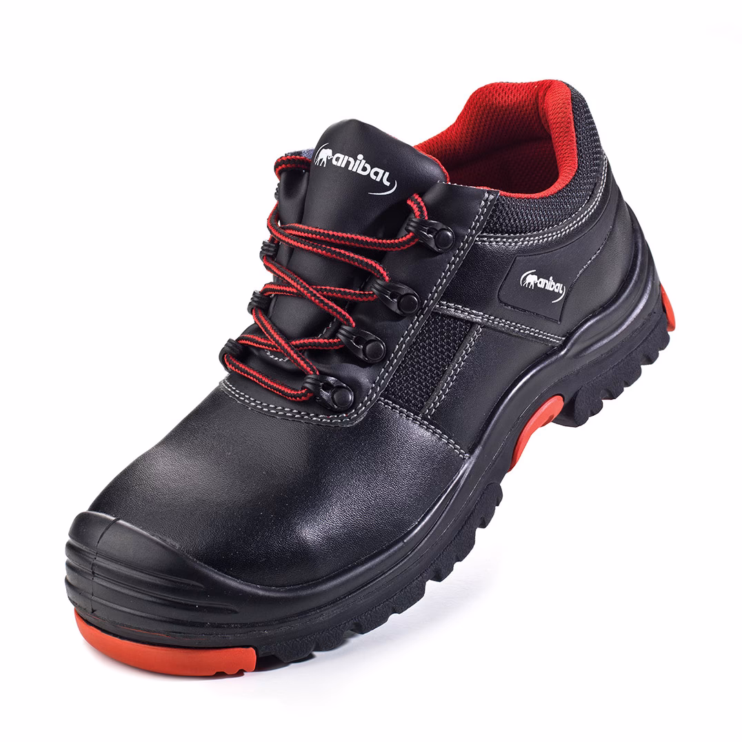 ¿Cuál es el par de zapatos de Aislinn?